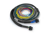Haltech Nexus S3 ECU + Universal Wire-in Harness - 2.5m
