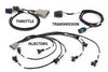 Haltech Rebel LS Kit - Suits Gen III - Cable throttle,