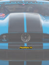 Haltech Sticker 200mm - Colour HT-300105