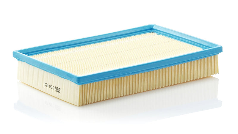Mann Air Filter C 30 125