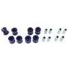 SuperPro Rear Trailing Arm Lower Bush Kit Fits Fiat