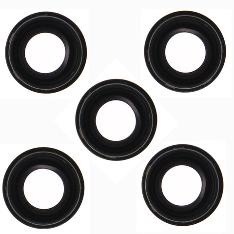 Permaseal Injector Seal INS023-05