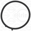Elring Intake/Exhaust Gaskets 811.19