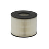 Donaldson Air Filter P500017