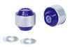 SuperPro Control Arm Lower-Inner Rear Bush Kit - Double