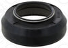 Elring Radial Shaft Seal 393.88