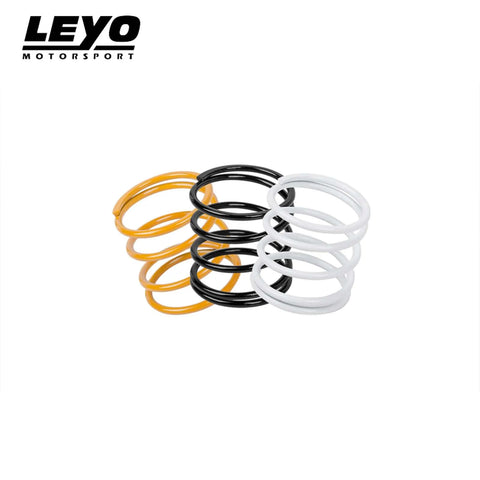 Leyo Motorsport Diverter & BOV - Standard Spring Kit
