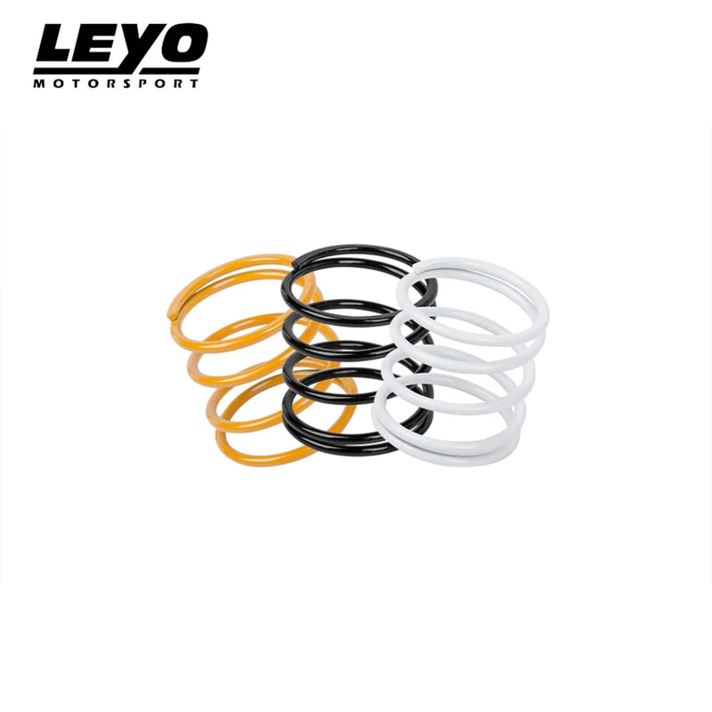 Leyo Motorsport Diverter & BOV - Standard Spring Kit