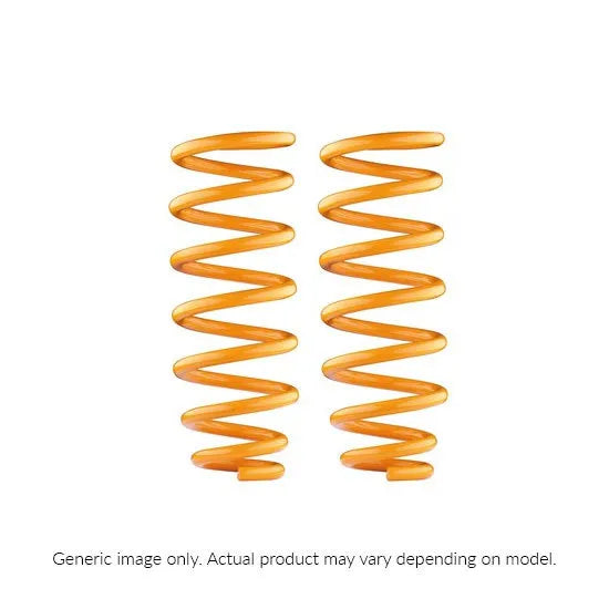 Ironman 4x4 Rear Coil Springs - Constant Load (Discovery Series 3)