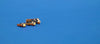 Stedi 4 Pack T5 2721 Wedge 1 Smd Led Light