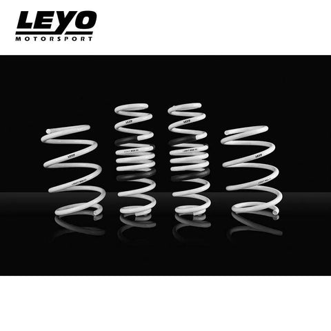 Leyo Motorsport Lowering Springs (Golf R MK7/7.5 14-20) — fits Volkswagen Golf Gti