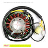 Kawasaki Ninja ZX 12R 2002 2003 ZX12R ZX1200B ZX-12R Generic Generator Stator