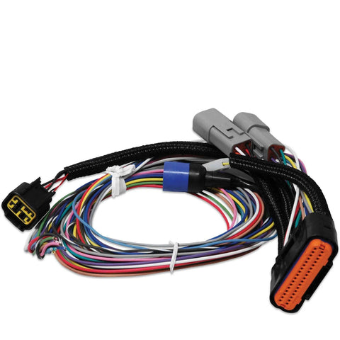MSD Power Grid Harness - Replacement Replacement harness for PN 7730