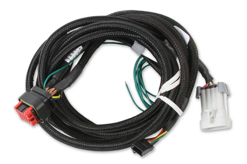 MSD 80002 EFI And LS Harness - Pro 600 Replacement