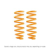 Ironman 4x4 Rear Shock Absorbers/Coil Springs - Constant Load/Performance (Patrol GQ Y60)