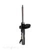 Roadsafe R600186 STR Shock Absorber