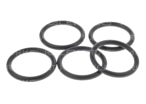 Raceworks E85 Safe O-Rings AN-20 5Pk