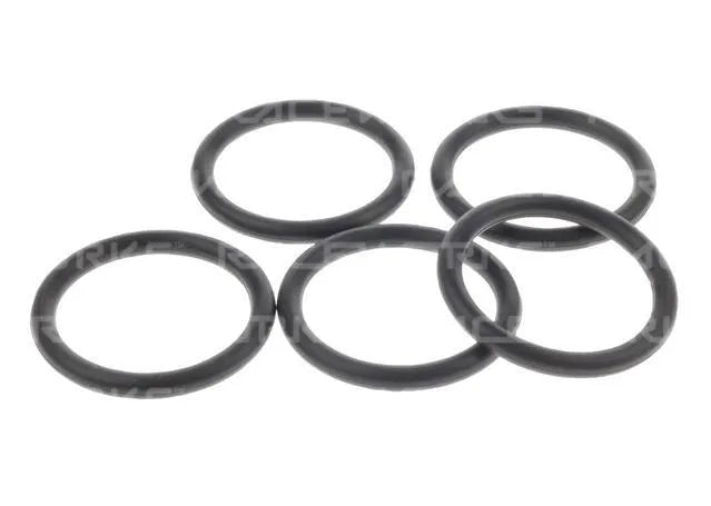 Raceworks E85 Safe O-Rings AN-20 5Pk