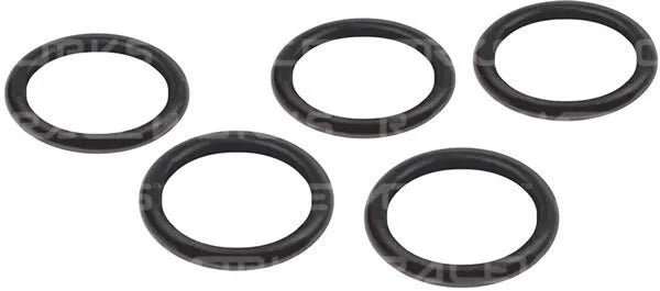 Raceworks E85 Safe O-Rings AN 5pk