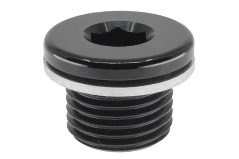 Raceworks M10x1.0 In-Hex Plug W/ Washer