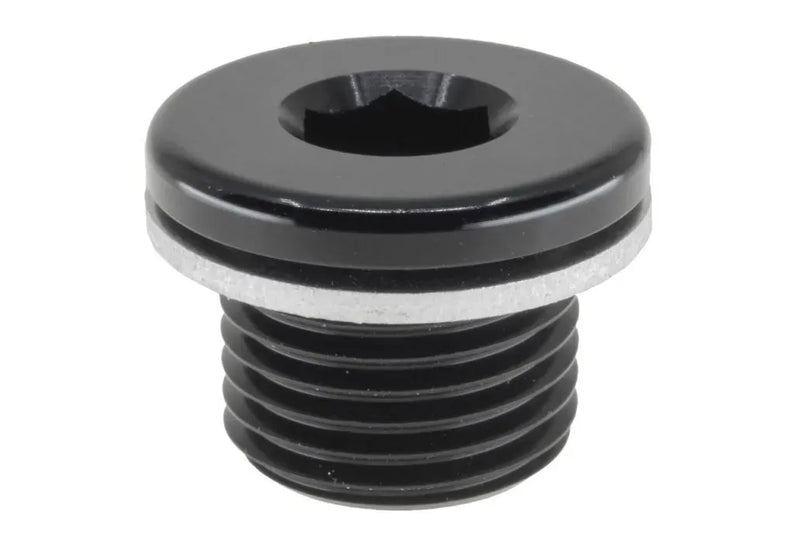 Raceworks M10x1.0 In-Hex Plug W/ Washer