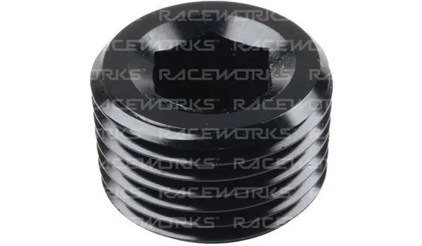 Raceworks NPT Plug 3/4''