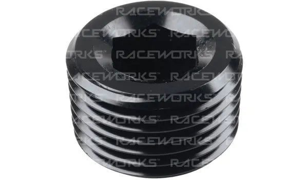 Raceworks NPT Plug