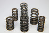 Ferrea Dual Special Alloy Valve Spring - Set of 16 (STI) — fits Subaru STI