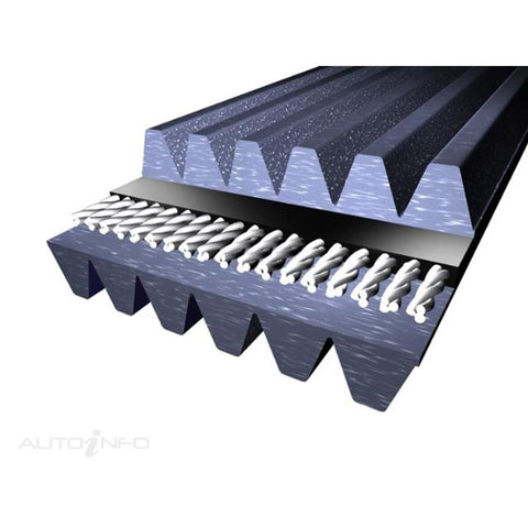 Dayco 6PKK1195