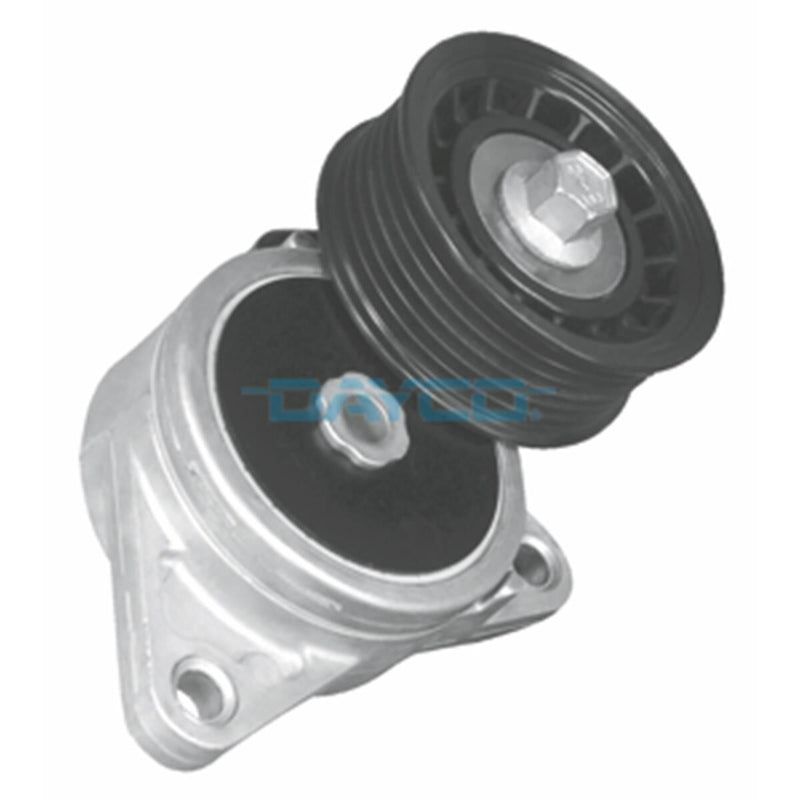Dayco 89318