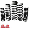 EFS Coil Springs Front (Jimny 98-18)