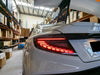 V3 Black Edition Dragon Scale LED Dynamic Tail Light to suit Subaru WRX VB 2022-2024 — image 4