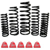 EFS Coil Springs Front (Tunland 12+)