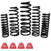 EFS Coil Springs Front (Tunland 12+)