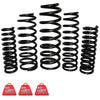 EFS Coil Springs Front (Tunland 12+)