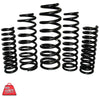 EFS Coil Springs Front (Tunland 12+)