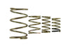 Turbosmart Genv Wg38/40 Spring Replacement Kit