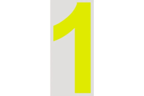 Raceworks 15cm Day Glo CAMS Approved - Number 1