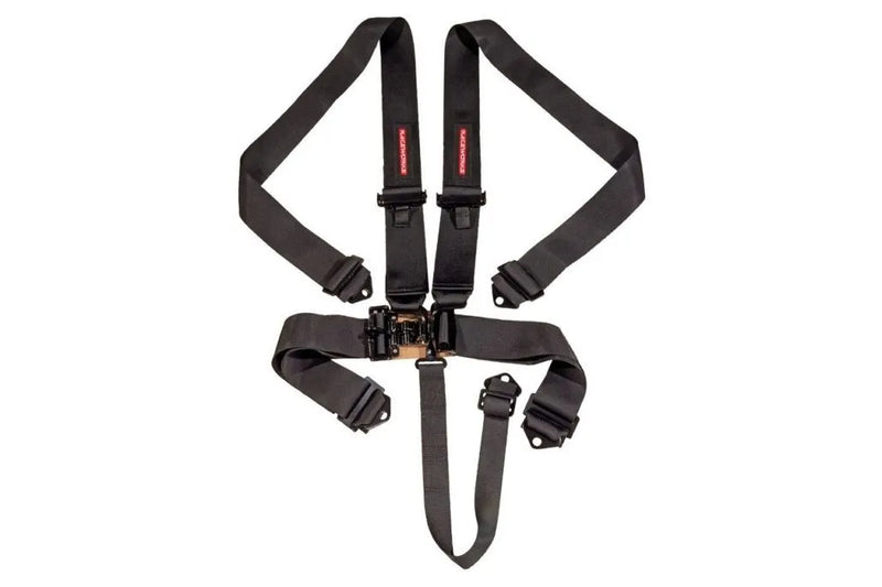Raceworks 5 Point Latch & Link Harness
