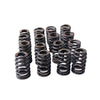 Valve Springs Ovate Beehive Series to suit LS1 LS2 L98 LS3 V8 VT VX VY VZ VE V8 — image 3
