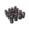 Valve Springs Ovate Beehive Series to suit LS1 LS2 L98 LS3 V8 VT VX VY VZ VE V8 — image 2