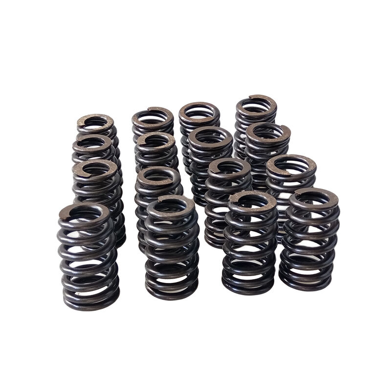 Valve Springs Ovate Beehive Series to suit LS1 LS2 L98 LS3 V8 VT VX VY VZ VE V8 — image 1