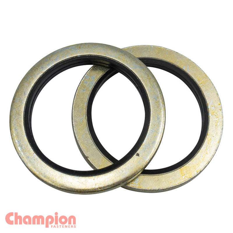 Champion Fasteners Washer Dowty Suit 3/8In Bsp CDW3
