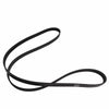 Drive Belt to suit Holden Commodore 5.7L — image 2