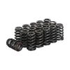 Beehive Valve Spring Kit to suit GM LS Engines 4.8L 5.3L 6.2L — image 1