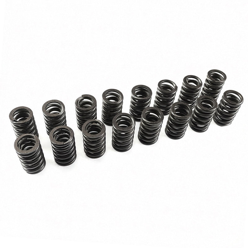 Valve Spring Kit to suit BMW X3 — image 1