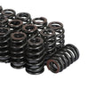Beehive Valve Spring Kit to suit GM LS Engines 4.8L 5.3L 6.2L — image 5