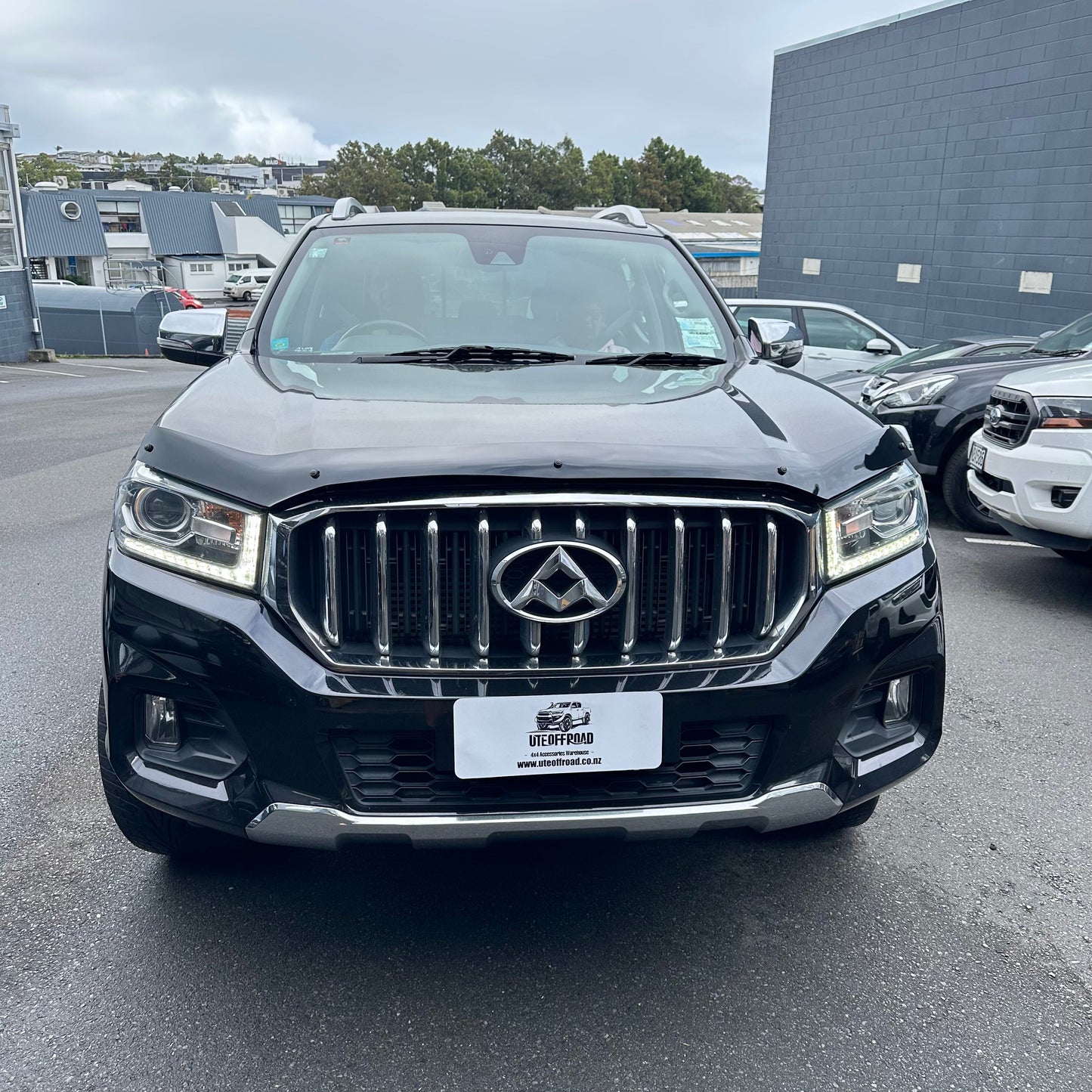 Bonnet Guard Protector Stone LDV T60/MAXUS 2017-2020