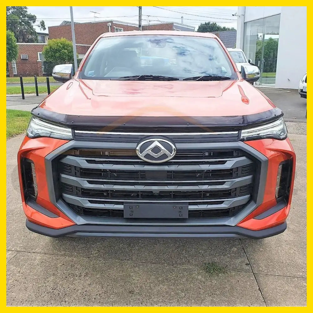 Bonnet Guard Protector Stone LDV T90 2022+