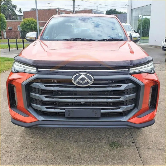 Bonnet Guard Protector Stone LDV T90 2022+